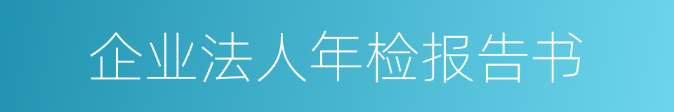 企业法人年检报告书的同义词