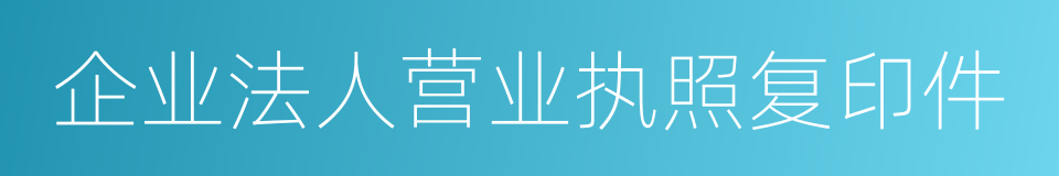 企业法人营业执照复印件的同义词