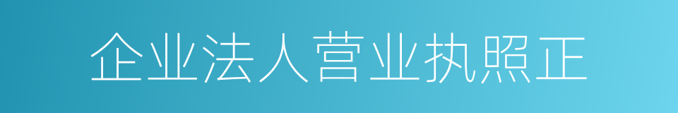 企业法人营业执照正的同义词