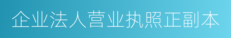 企业法人营业执照正副本的同义词