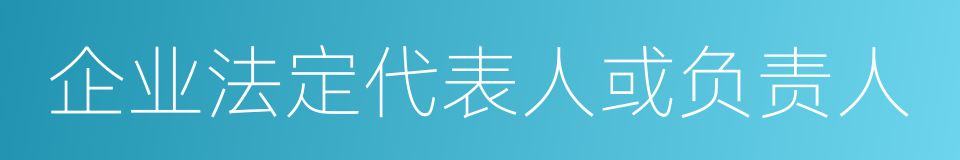 企业法定代表人或负责人的同义词