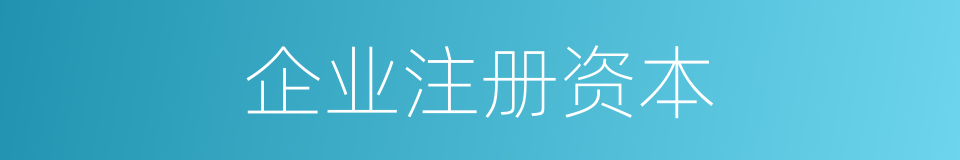 企业注册资本的同义词