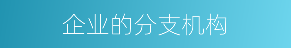 企业的分支机构的同义词