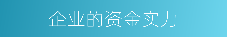 企业的资金实力的同义词