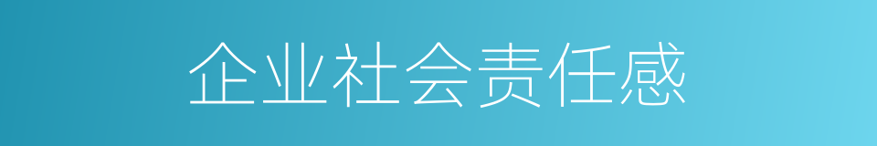 企业社会责任感的同义词