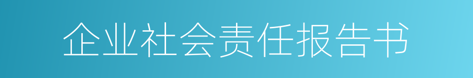 企业社会责任报告书的同义词