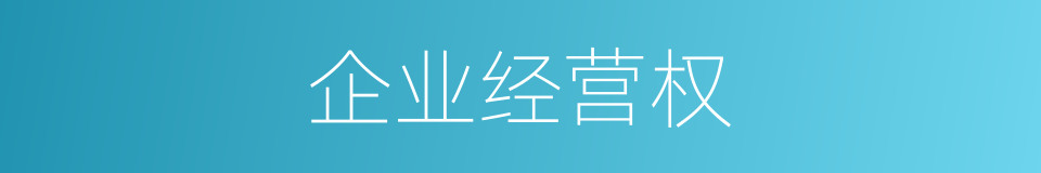 企业经营权的意思