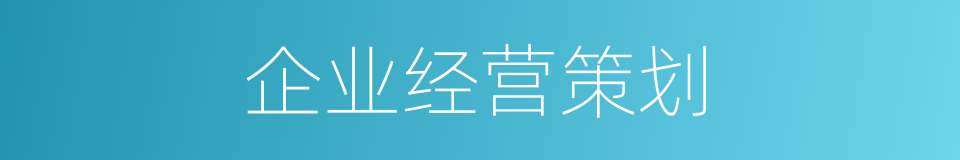 企业经营策划的同义词