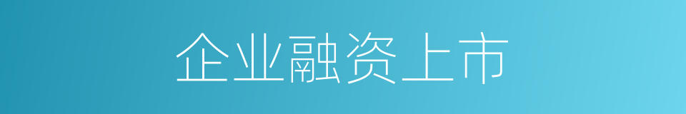 企业融资上市的同义词