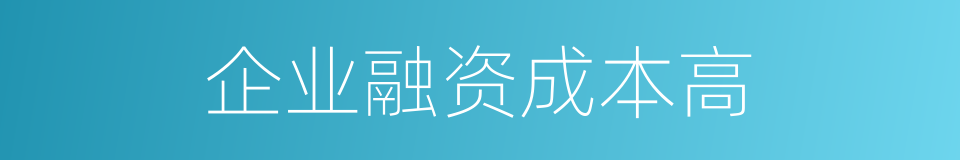 企业融资成本高的同义词