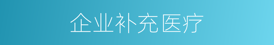 企业补充医疗的同义词