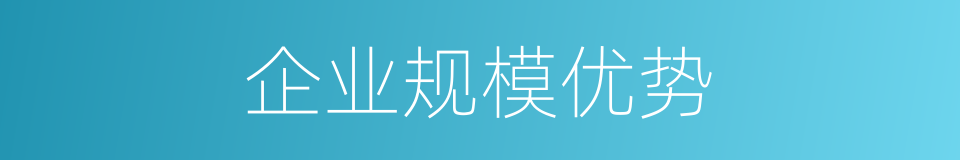 企业规模优势的同义词