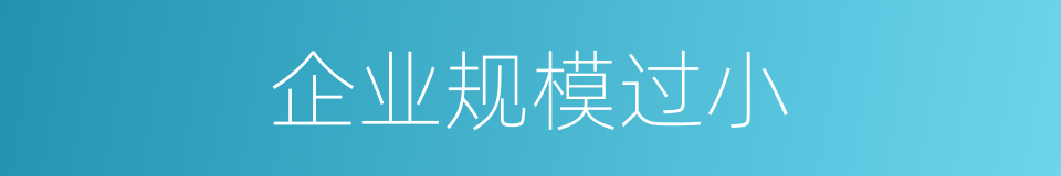 企业规模过小的同义词