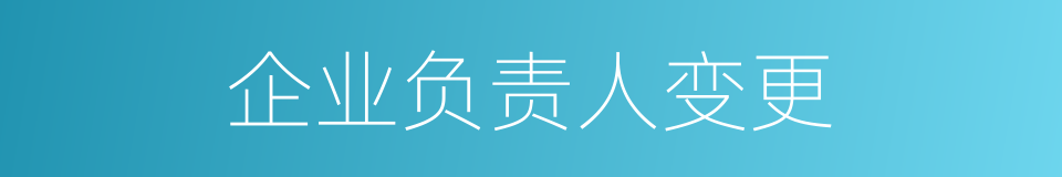 企业负责人变更的同义词