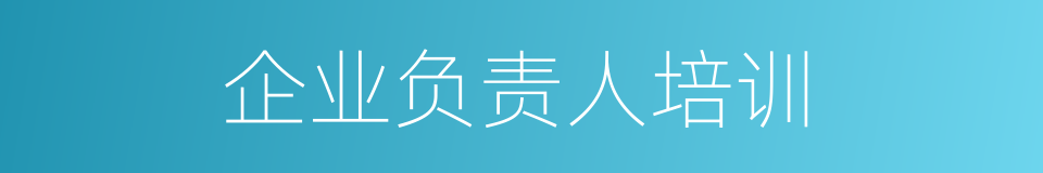 企业负责人培训的同义词