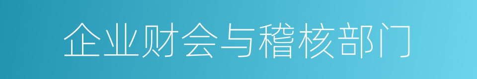 企业财会与稽核部门的同义词