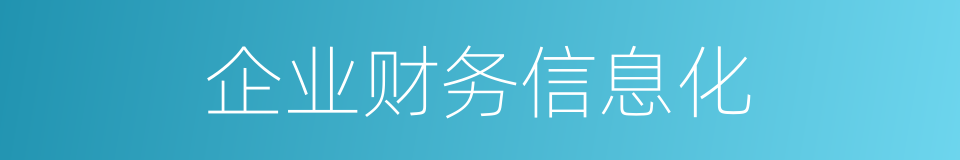 企业财务信息化的同义词