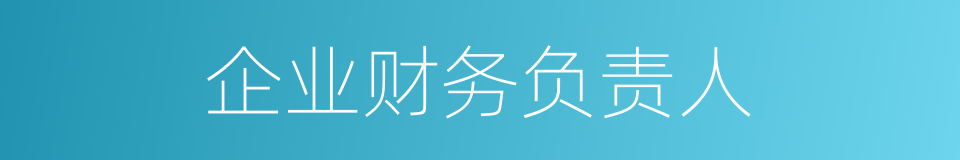 企业财务负责人的同义词