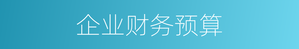 企业财务预算的同义词