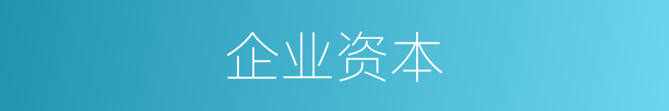 企业资本的同义词
