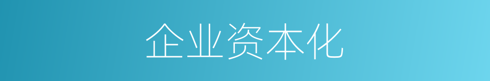 企业资本化的同义词