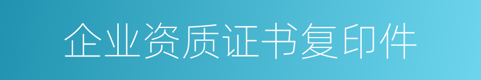 企业资质证书复印件的同义词