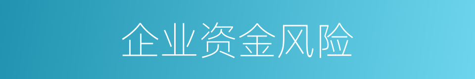企业资金风险的同义词