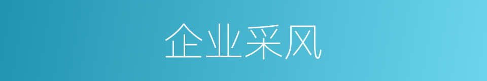 企业采风的同义词