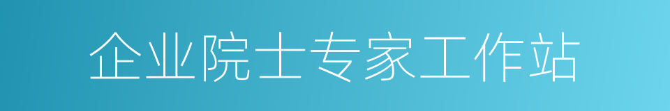 企业院士专家工作站的同义词