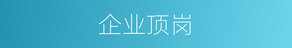 企业顶岗的同义词