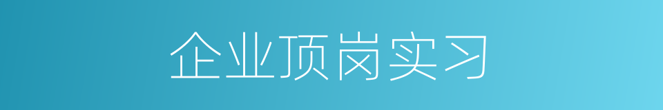 企业顶岗实习的同义词