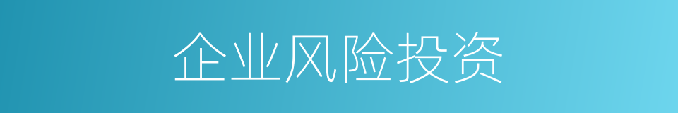 企业风险投资的同义词