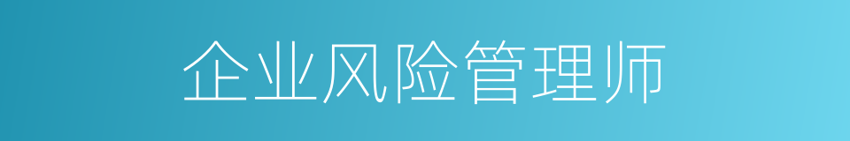 企业风险管理师的同义词