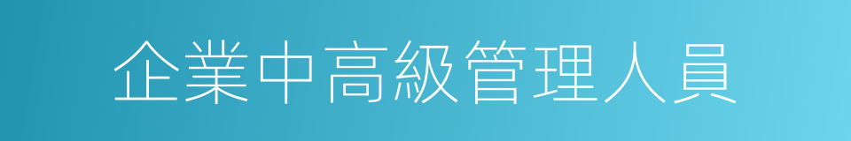 企業中高級管理人員的同義詞