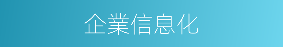 企業信息化的同義詞