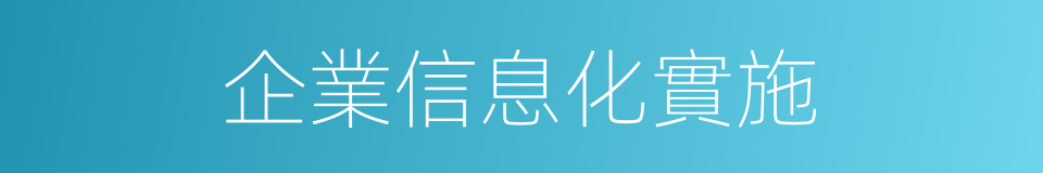 企業信息化實施的同義詞