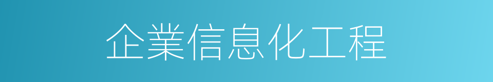 企業信息化工程的同義詞