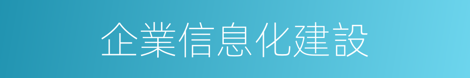 企業信息化建設的同義詞