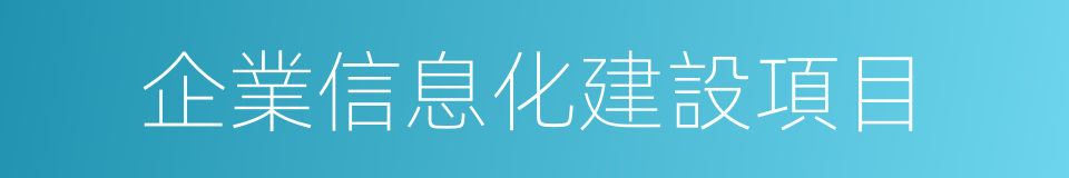 企業信息化建設項目的同義詞