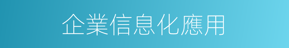 企業信息化應用的同義詞