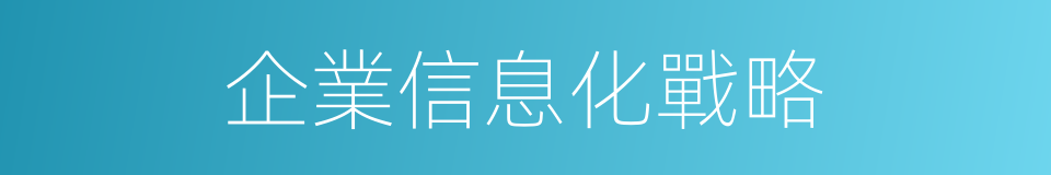 企業信息化戰略的同義詞