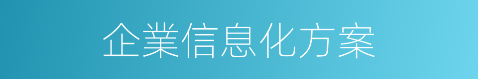 企業信息化方案的同義詞