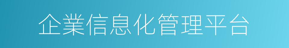 企業信息化管理平台的同義詞