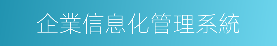 企業信息化管理系統的同義詞