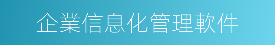 企業信息化管理軟件的同義詞