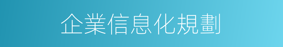 企業信息化規劃的同義詞