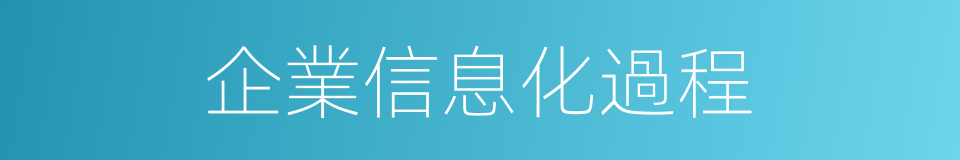 企業信息化過程的同義詞