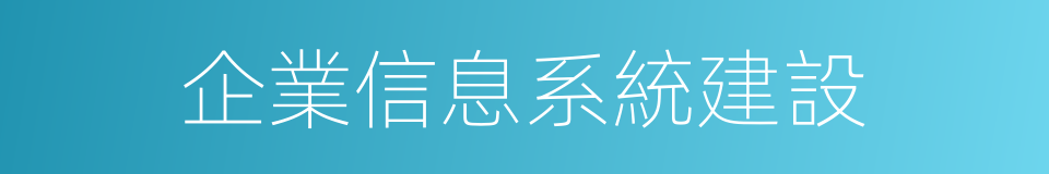 企業信息系統建設的同義詞