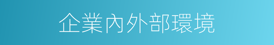 企業內外部環境的同義詞