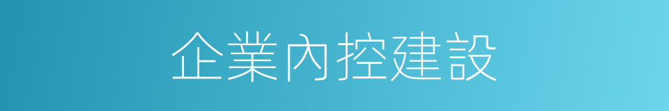 企業內控建設的同義詞